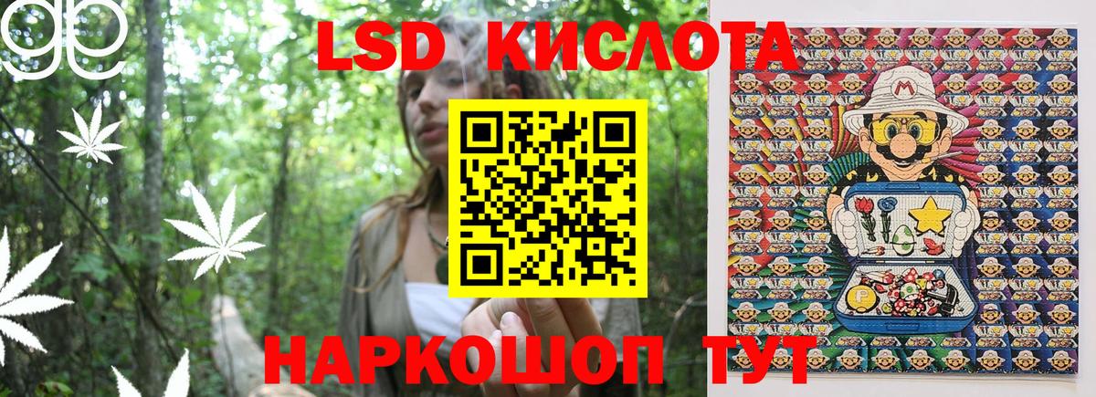Прохладный  Марки NBOMe  Наркотические марки 1500мкг  Вход с VPN  цена наркотик  Наркотические марки 1500мкг 