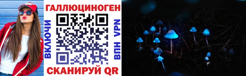 купить наркотик  Прохладный  Псилоцибиновые грибы Psilocybine cubensis 