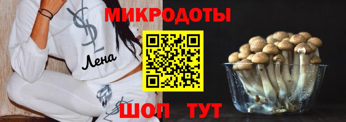 Псилоцибиновые грибы Magic Shrooms  Псилоцибиновые грибы ЛСД  Вход с VPN  Прохладный 